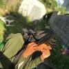 damian07142001
